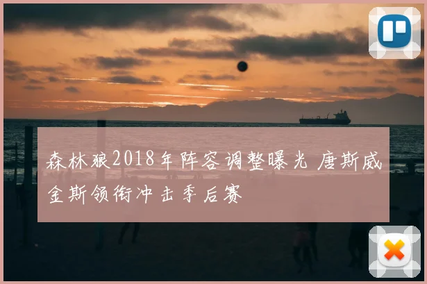 森林狼2018年阵容调整曝光 唐斯威金斯领衔冲击季后赛
